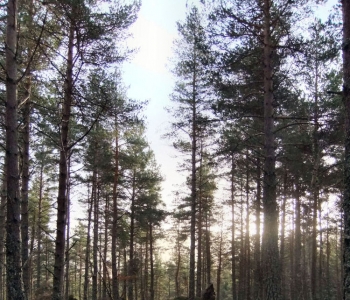 Sunlight on Achtemarack, 