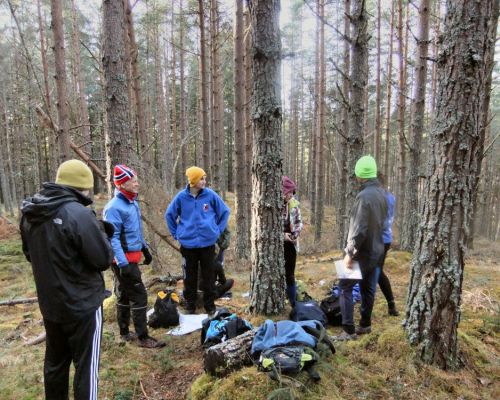 Talent Squad Coaching