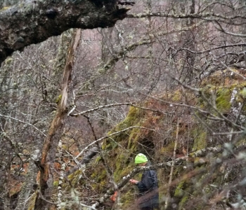 Ewen at Achtemarack, 