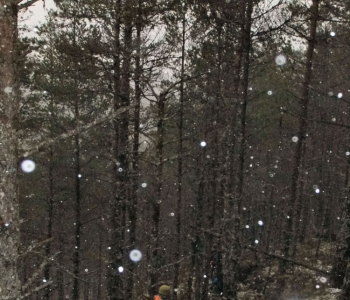Snow falling in Plodda, 