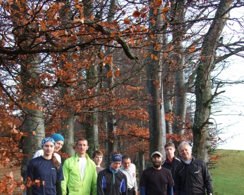 Heading up the beech alley towards Pressendye