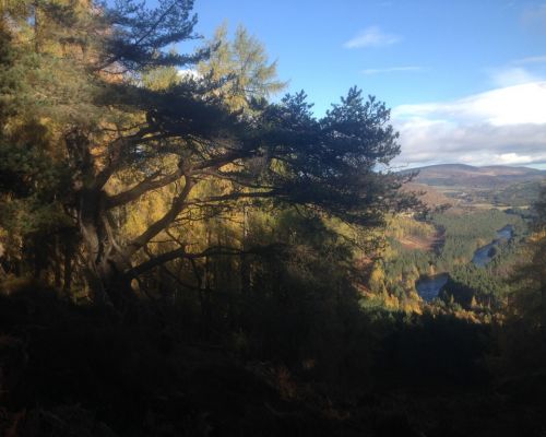 Autumn at Inver
