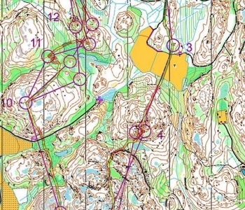 Part of Jukola 2015 Leg 1, 
