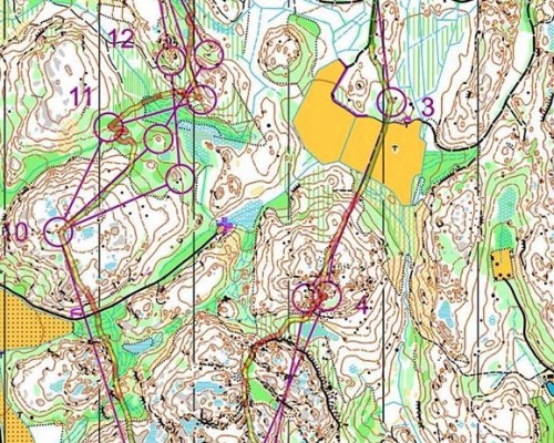 Part of Jukola 2015 Leg 1