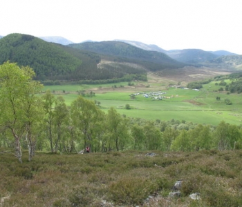 Glen Feardar Assembly, Andy Tivendale