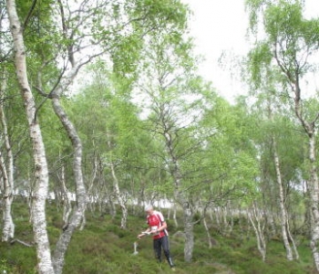 Glen Feardar, Andy Tivendale