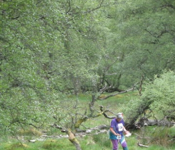 Glen Feardar, Andy Tivendale