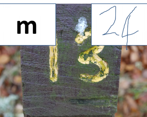 Example of how to punch a Phot-O control (write the control number on the photo)